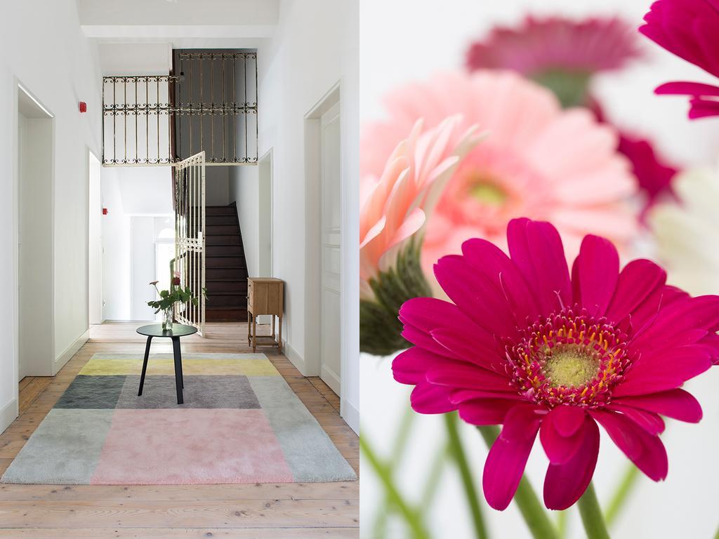 B&B Pastorie Balegem 외부 사진